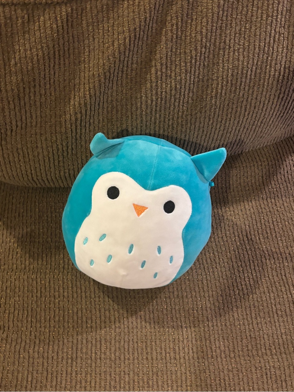 Squishmallows Teal and White Owl Plush